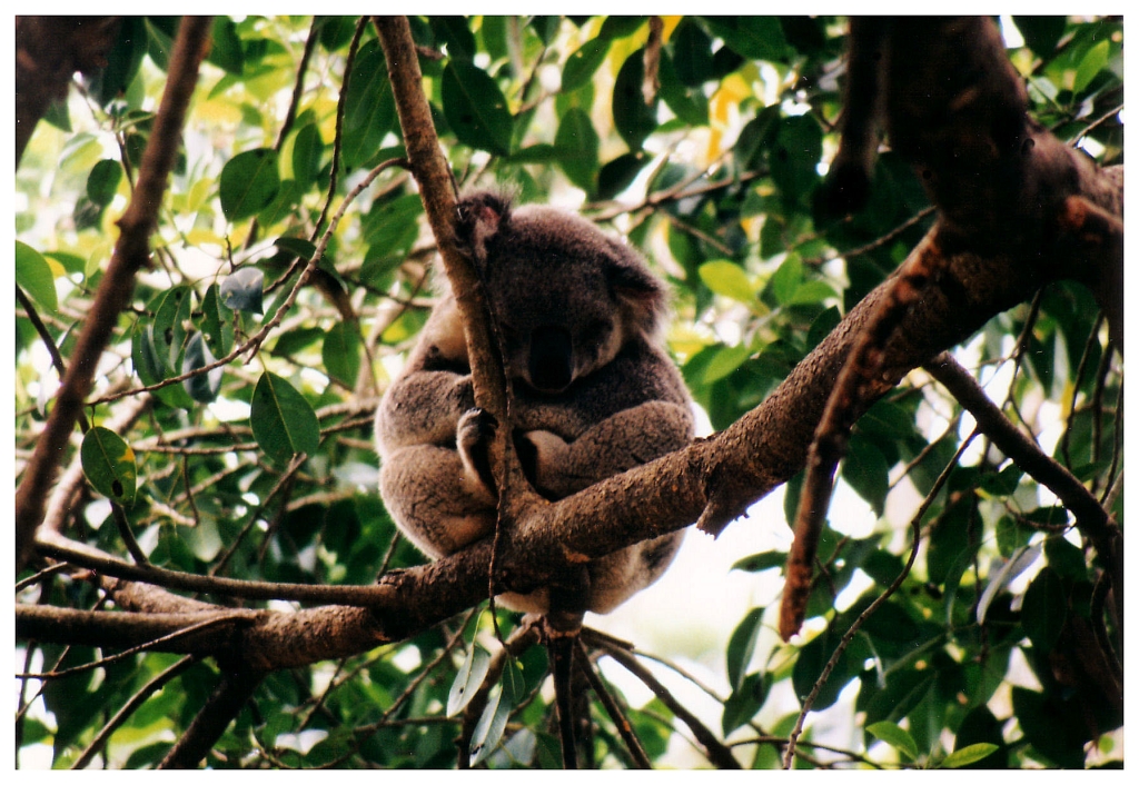 04 - Queensland (63).jpg